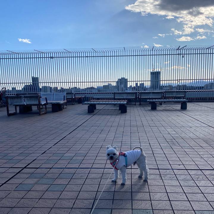 B3fcf0bd a1b2 4c59 9a75 b6f165251f88 1739082060481