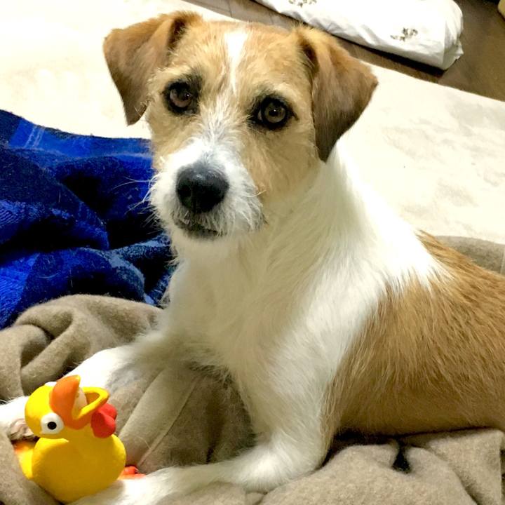 B3fd1b25 643a 47ec 9619 3150533c7ba7 1546264871369