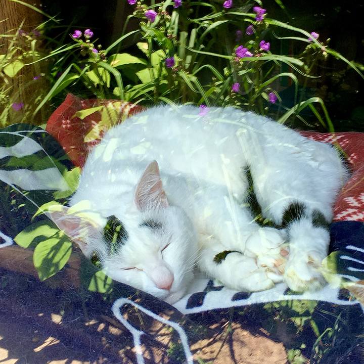 B3fd4d99 fab4 47cd 9d26 796a3a9b56ff 1591255839718