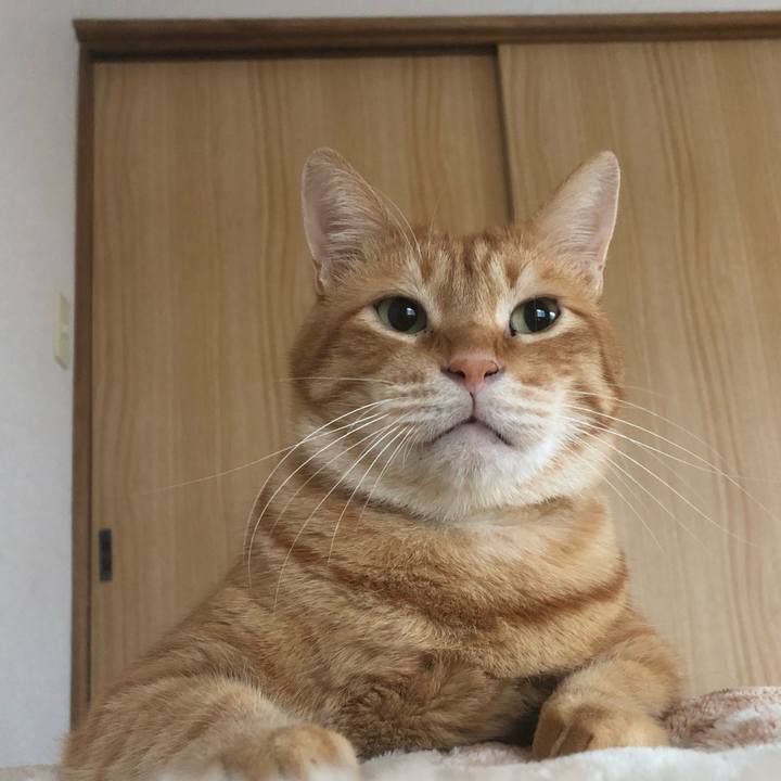 B3fd72f7 27a1 477b bbb1 185c8049815f 1593819670187