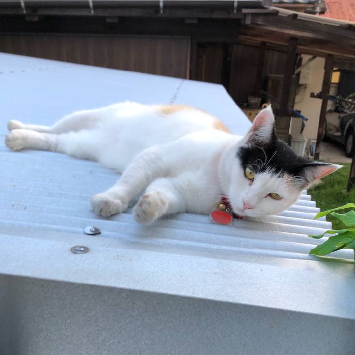 B3fd7949 34a5 4675 81b7 951b5873da83 1633963781621