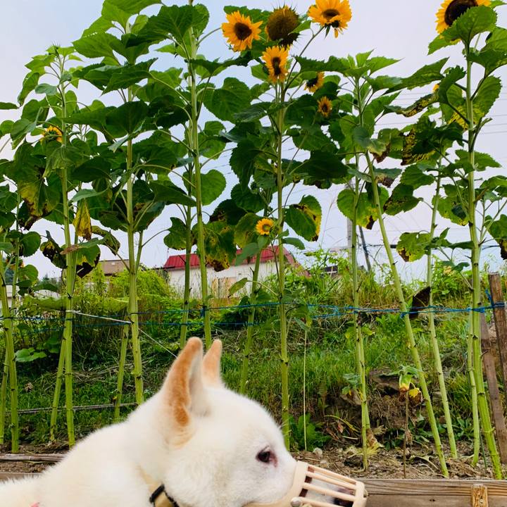 B3fdad64 9126 4ccd b331 4dbb481ecb68 1596141653756