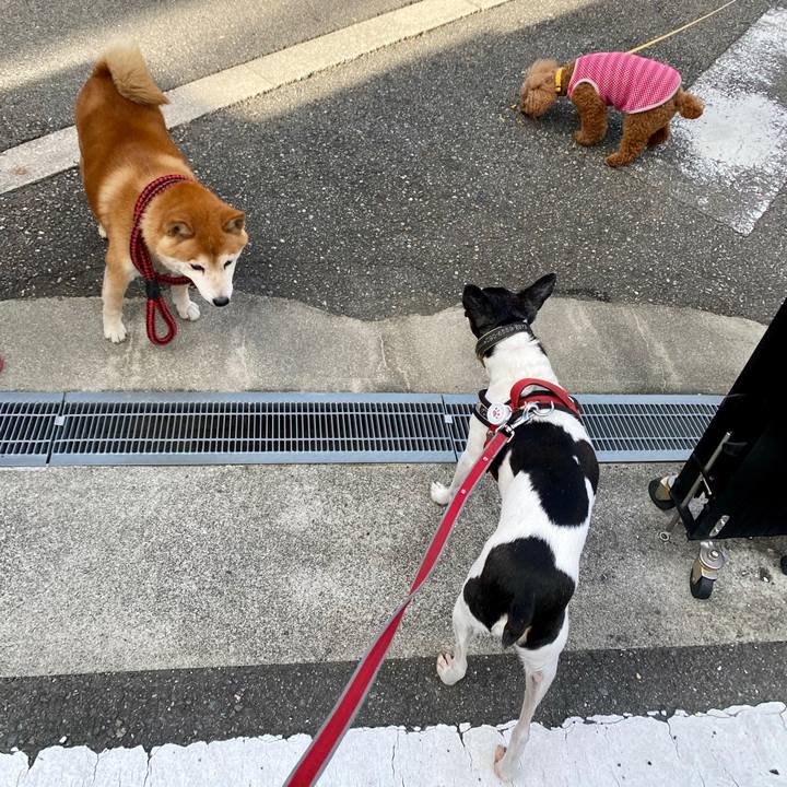 B3fdcea3 9c9e 4178 8db0 49a247df052a 1601164818396