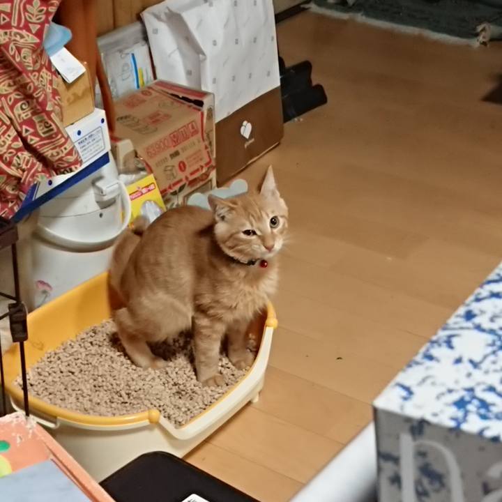 B3fe177c 8fb8 476e 8cca 21d2da23fcc5 1634161995190