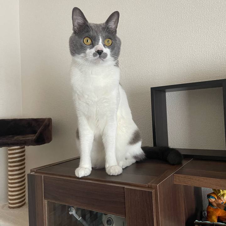 B3fe2e1c 5cb3 40a4 965f c8aebe436383 1670307219007