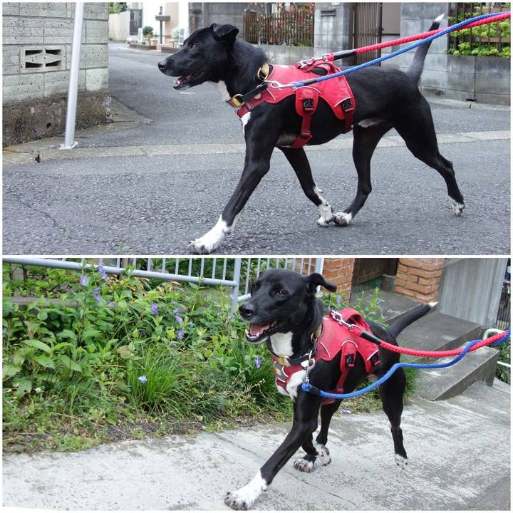 B3fe3c85 73a6 4112 a793 315a13c52e63 1587689969965