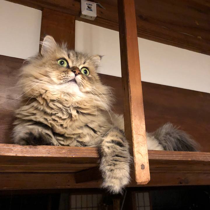 B3fe44d7 d51b 424d aa9d 09ab35d68f8c 1568461364977