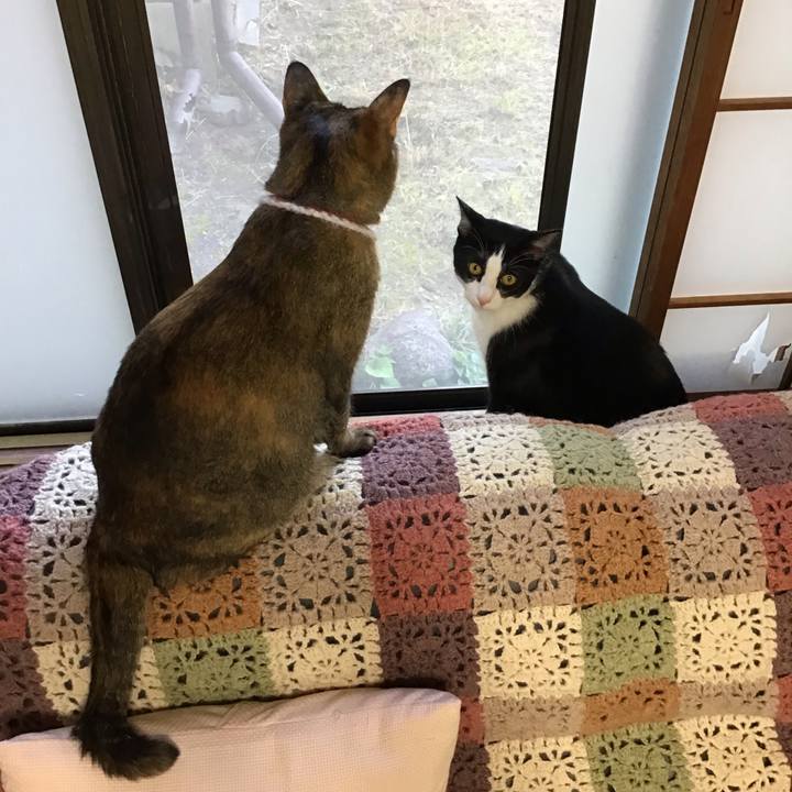 B3fe52c1 fb1f 44d7 a985 fbdb42d52e1b 1654159206905