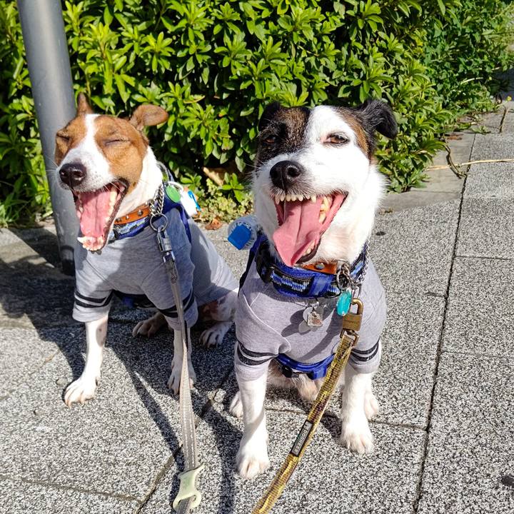 B3fe65f3 847f 404f a76c ba29da5cde23 1628634799260