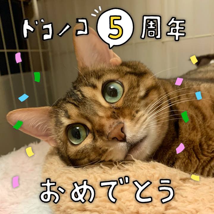 B3fe693b 6961 4679 b764 5974fd2abad3 1622935852283