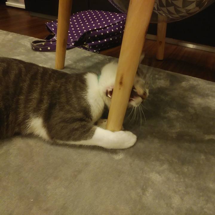 B3fe758e c1b6 4a0f 8eee 32930ec27d13 1587991633224