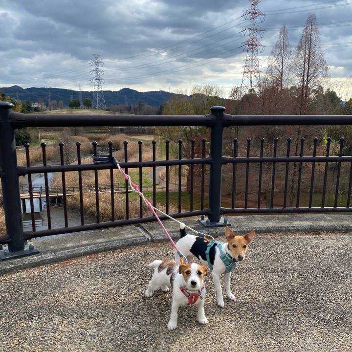 B3fe81ce f33a 4e1e a6b7 284c64ff1d97 1767163379749