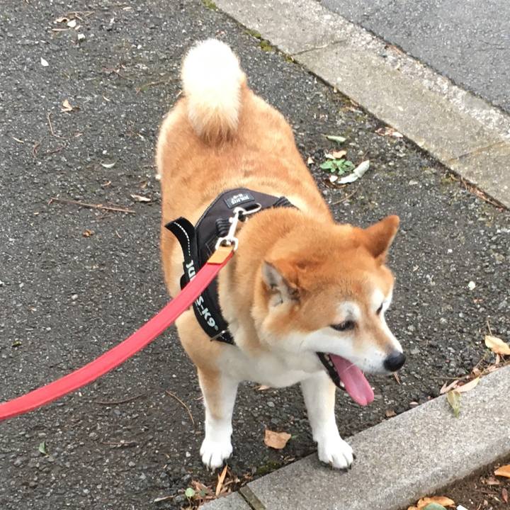 B3fe8982 0167 4d19 8335 0e9074b46aaf 1599983332673