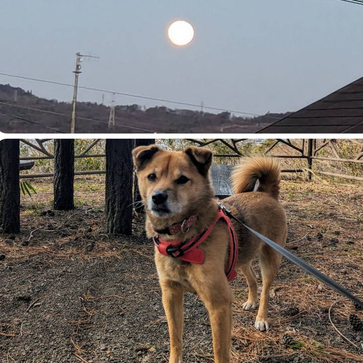 B3fe9ebd d8e5 4563 b49a 1c707643ac99 1703684415865