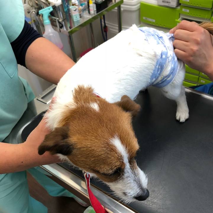 B3feb2cc 312a 404c ad78 fcbfb78e6fdf 1524227519180