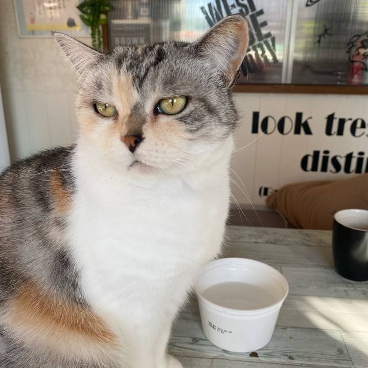 B3ff10e5 aaf6 4858 adbc a7a2912644d8 1637798821072