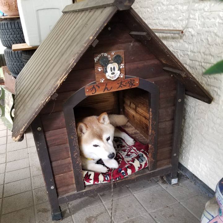 B3ff1a26 96e0 4aec a273 162a51e69462 1692146449720