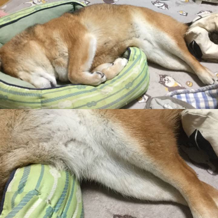 B3ff4d7e 70cd 421d ab62 aa7bceed3170 1619269600613