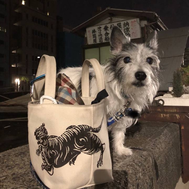 B3ff5165 00ca 412d 9a74 7df356d0d01c 1523792684989