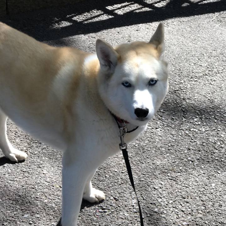 B3ff7385 c8ab 49bf ad12 51d505154d2a 1647057552065