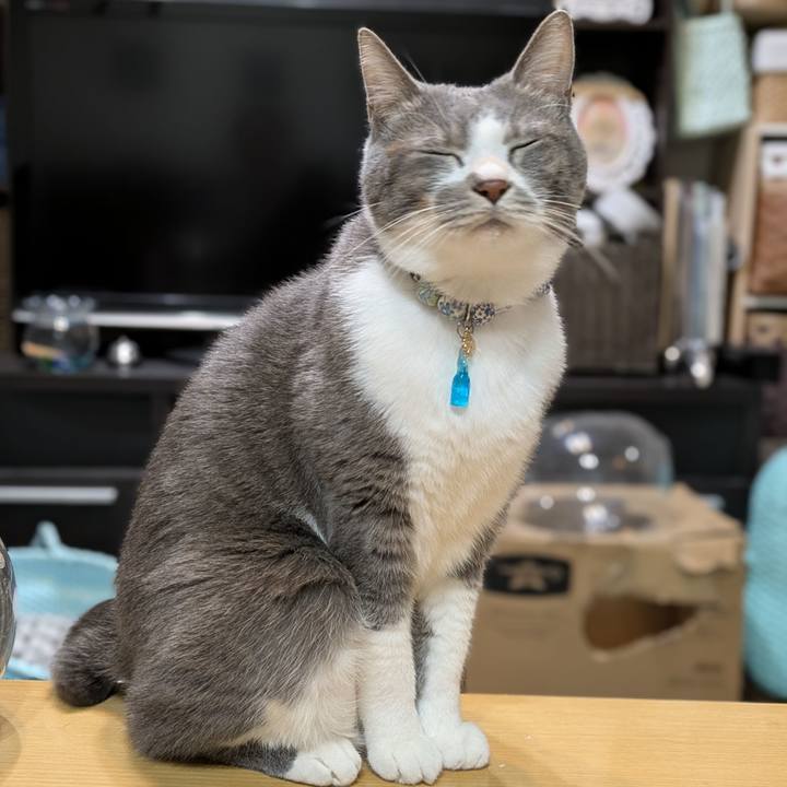 B3ffb648 ad8d 4cf8 9265 eb68da235130 1736072425003