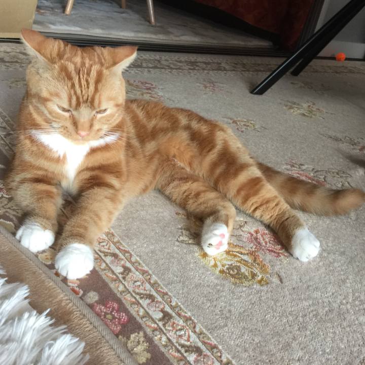 B3fff234 c7e6 4217 b581 2e9d0c39fb33 1540015825701