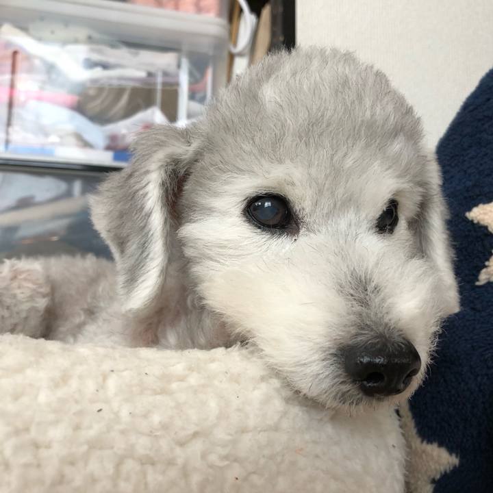 B3fff96b f510 4c85 bfbe 9b784a7e1670 1588987413545