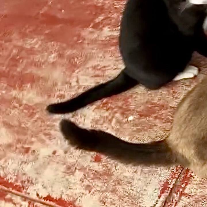 B400122d d34f 4387 b38b eb7c7a3888c7 1730791531948