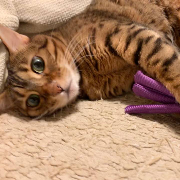 B4002d88 738b 4f22 b42d 6c0938d90e52 1601591771206