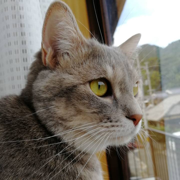 B40037c9 5d49 4049 a08f eeecaaa94737 1536198980432