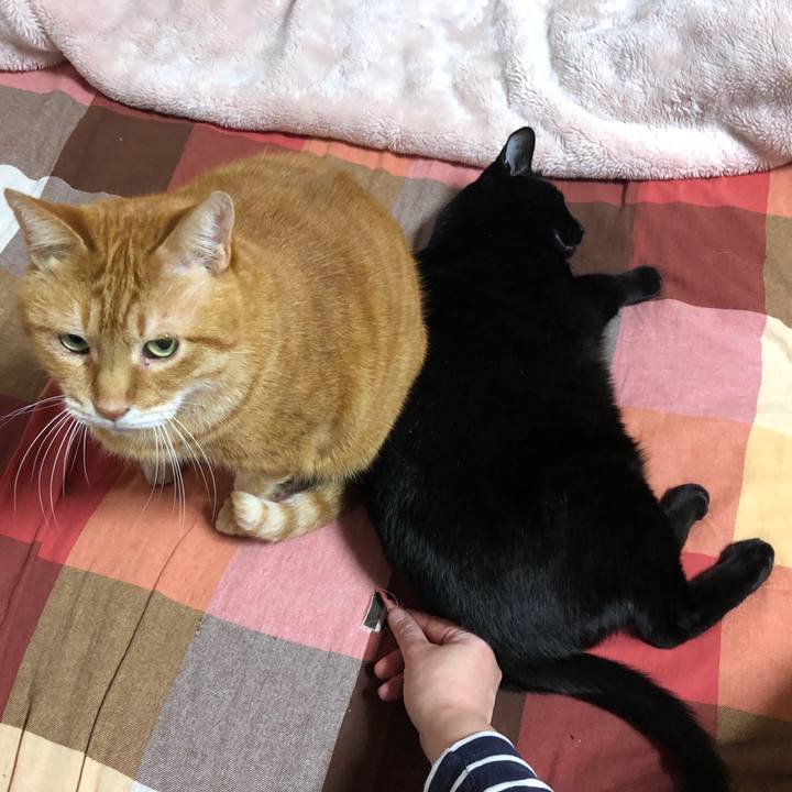 B4004d5a 1a4b 4ac4 b805 94faea24f258 1710151761477