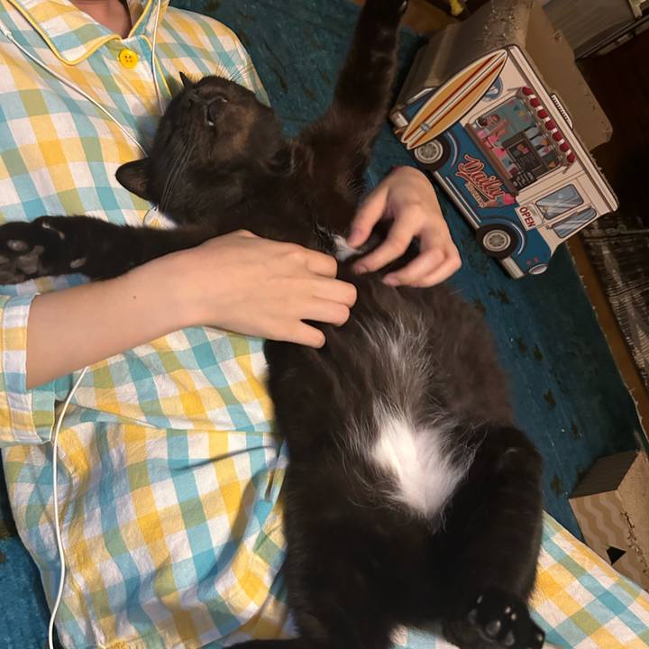 B40050a6 7d56 41de 9a69 355bfb07102f 1747789382300