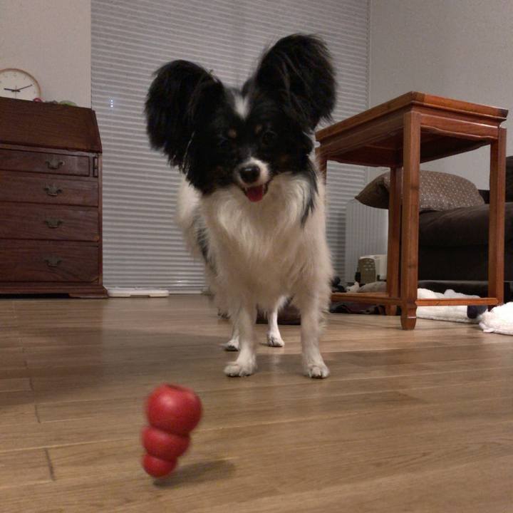 B4008729 cddd 490d 81da 37bfb6ec171e 1511354752054