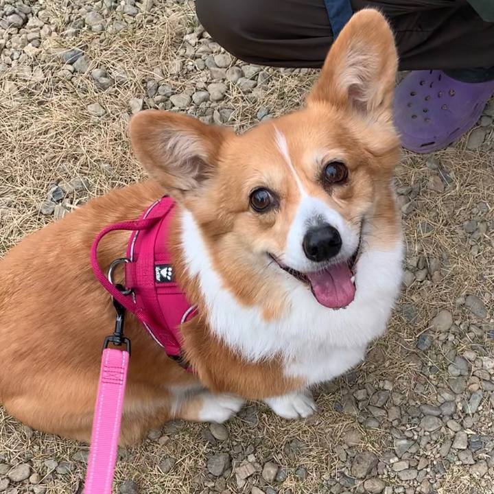 B400c0b2 5397 4393 860e 6c5d81f229fa 1648539860455