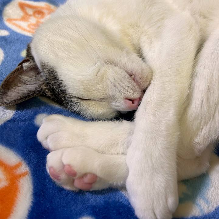 B400d5df c6b6 4919 ab9e 03c2dca62e81 1719114224302