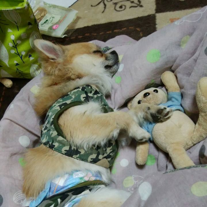 B400e698 0a2f 47f1 9438 c27f8cb309af 1519993294005