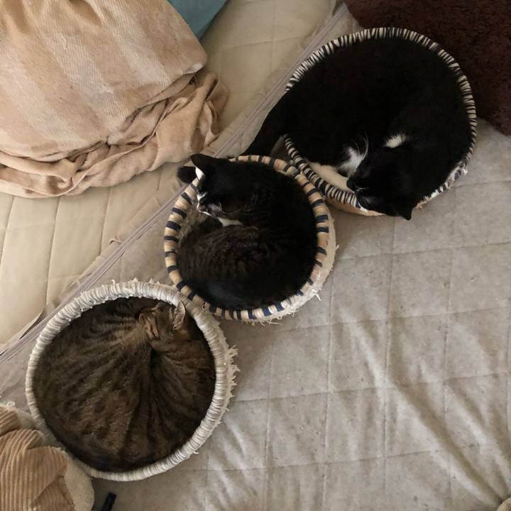 B400e935 f674 46d6 97ae 65193d376eeb 1622234802338