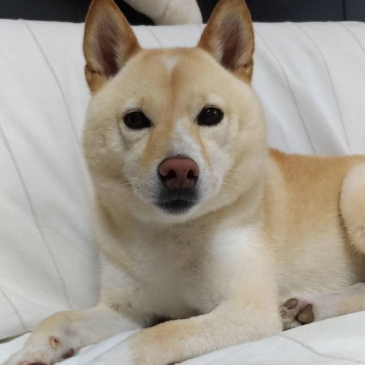 B4010fb7 37df 47e3 b6cb 0273bc221fc6 1594596160475