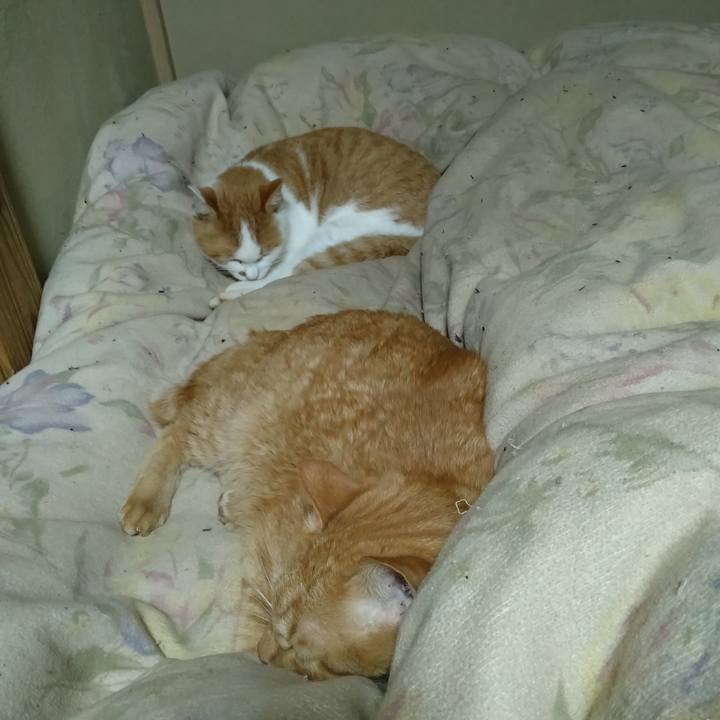 B401846f 5de4 4a85 8bad c690a47a672c 1764244549154