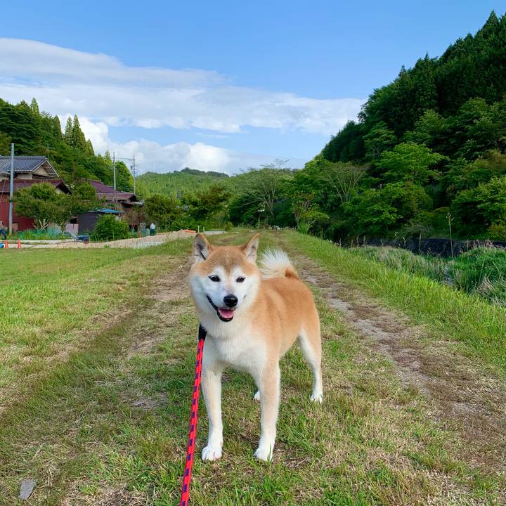 B40203a4 0e29 4ec6 9b73 1e90fb47ad67 1684927357903