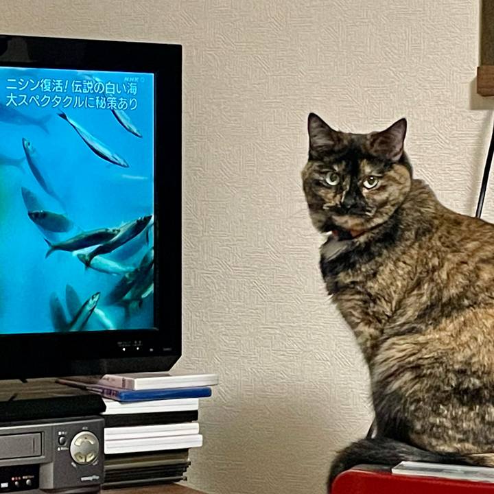 B4020ddc d95e 4338 b8c5 8dc4bbfd179a 1646021512436