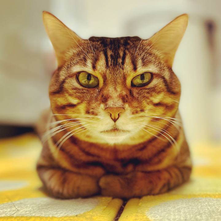 B402127d 9b5f 4e02 8507 ec1ce34faec7 1643670517499