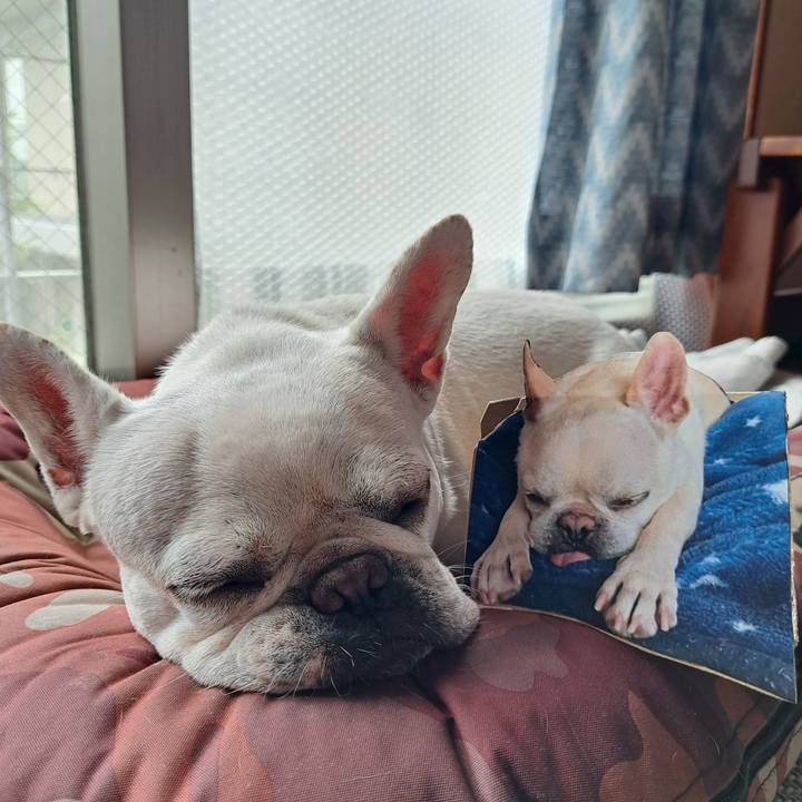 B4022f48 5a60 4853 baee e57079297e0d 1720584000826