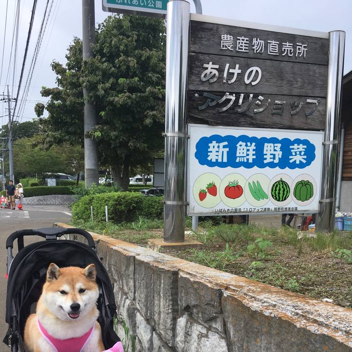 B4023675 78a3 4be5 887c b195b367c60c 1567332626191