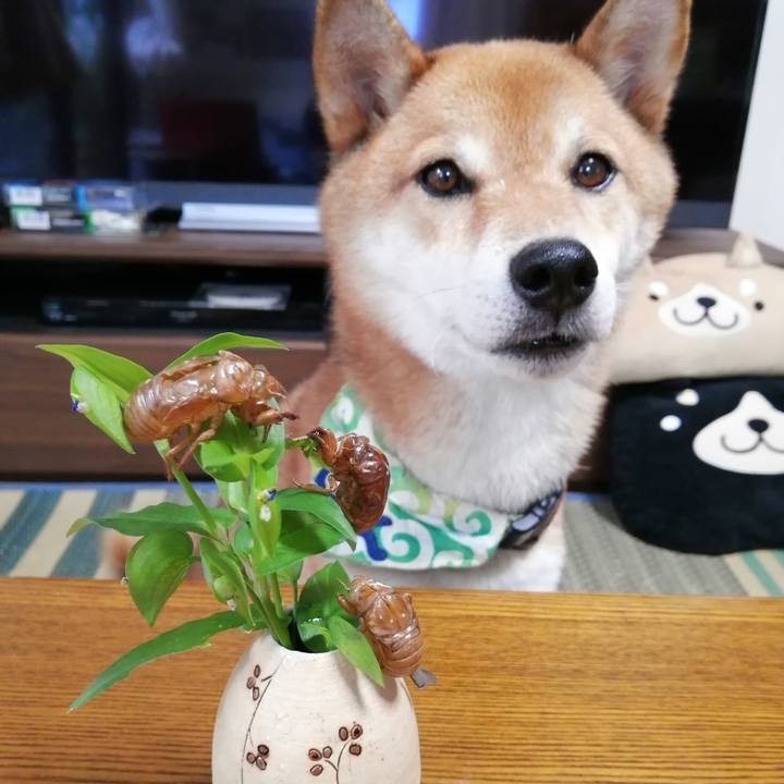 B40260f5 c43b 4c94 bd11 7941aa6258a8 1596251897839