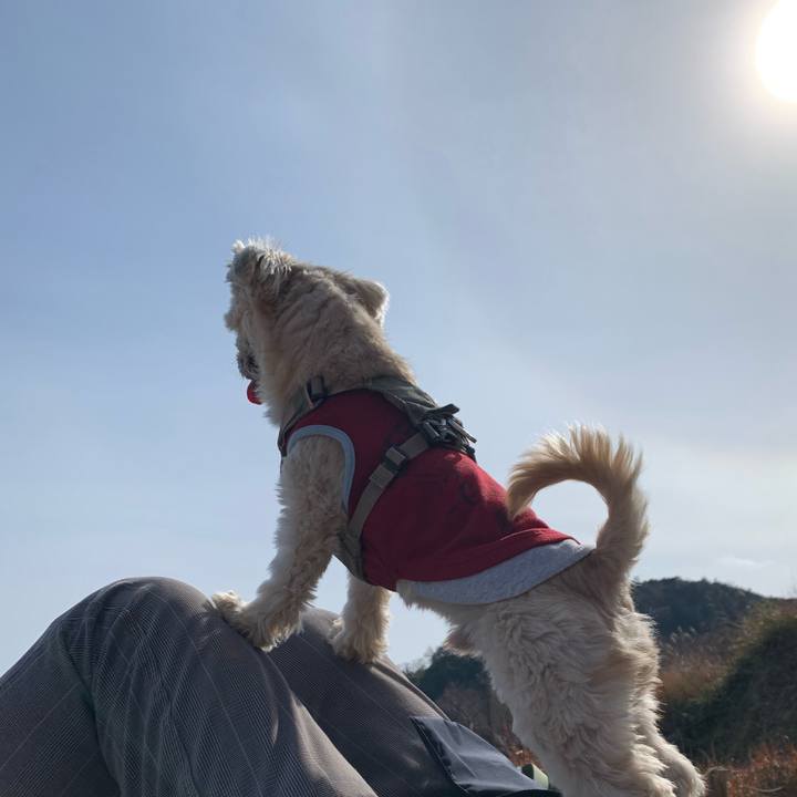 B4029bbe 7c70 422e 9652 738f66763688 1675774095344