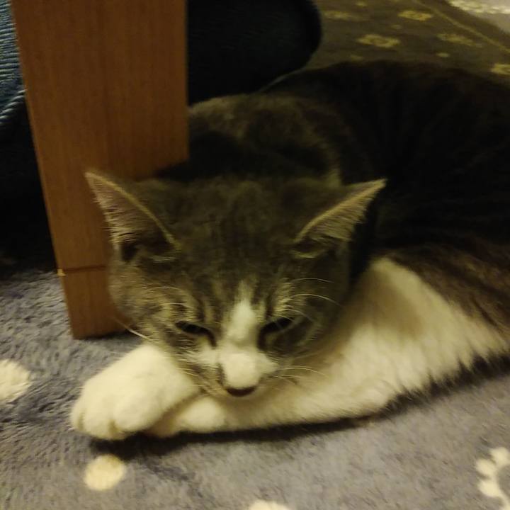 B4029fc3 cd62 45c9 8864 4b2cc30fd774 1568728160007