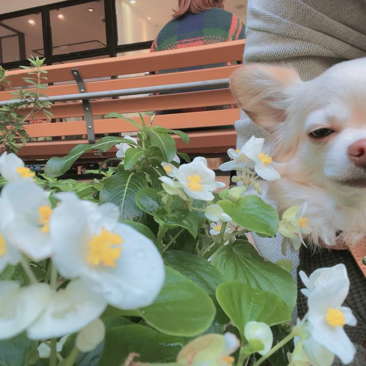 B4029fd1 9e27 474d 88bc 679244d1feb8 1700811591392