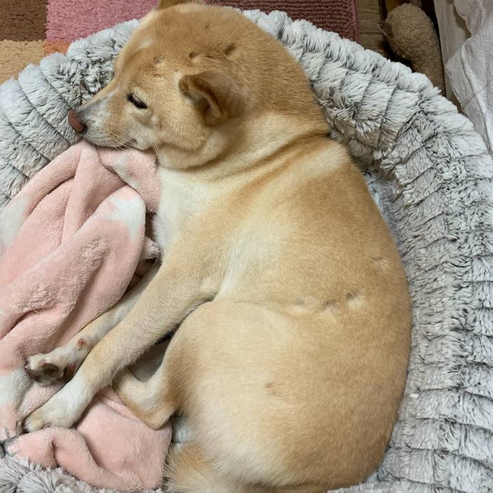 B402b05a 0e1b 4cb0 9ea3 282e0c83e91a 1637064428446