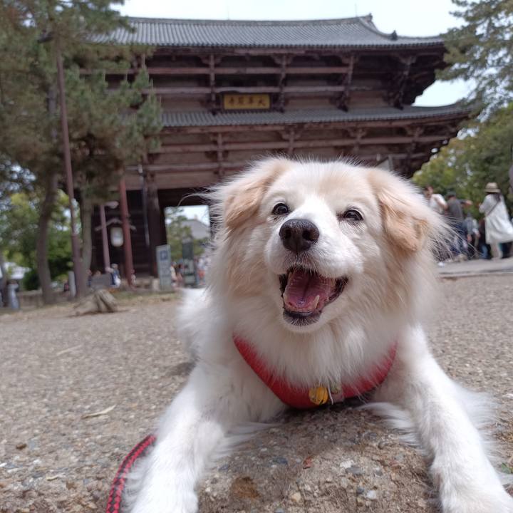 B402be74 1da6 4cd1 b5e6 0ce5fbf22e03 1683253050795